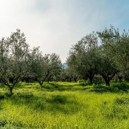Katrin Σπίτι διακοπών Πύλος