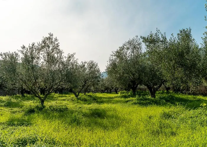 Katrin Σπίτι διακοπών Πύλος